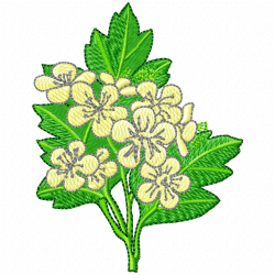 Flowers Embroidery Design 8